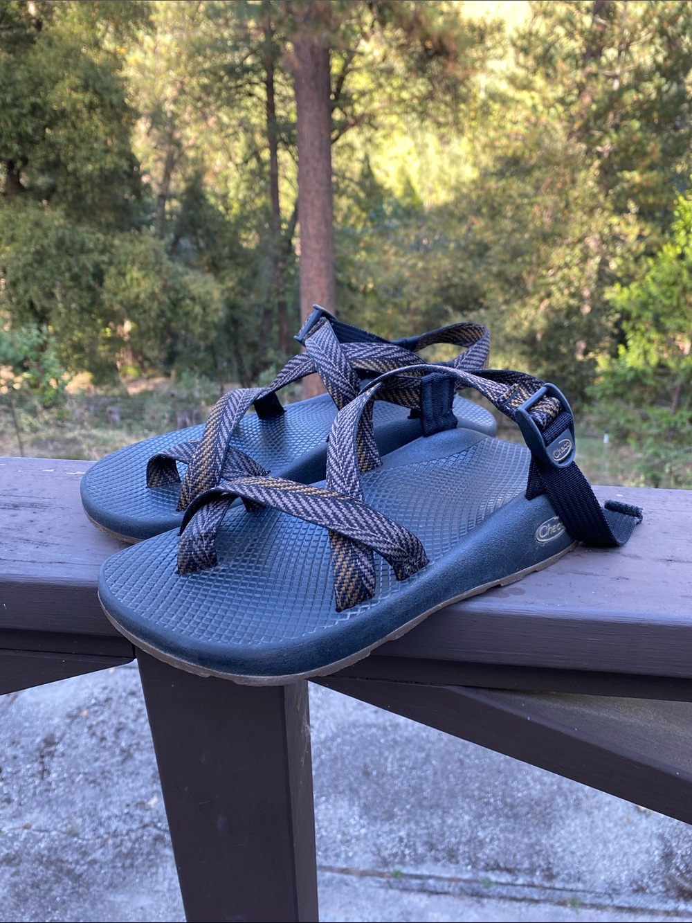 Z/Classic (Open-toe design with adjustable straps)